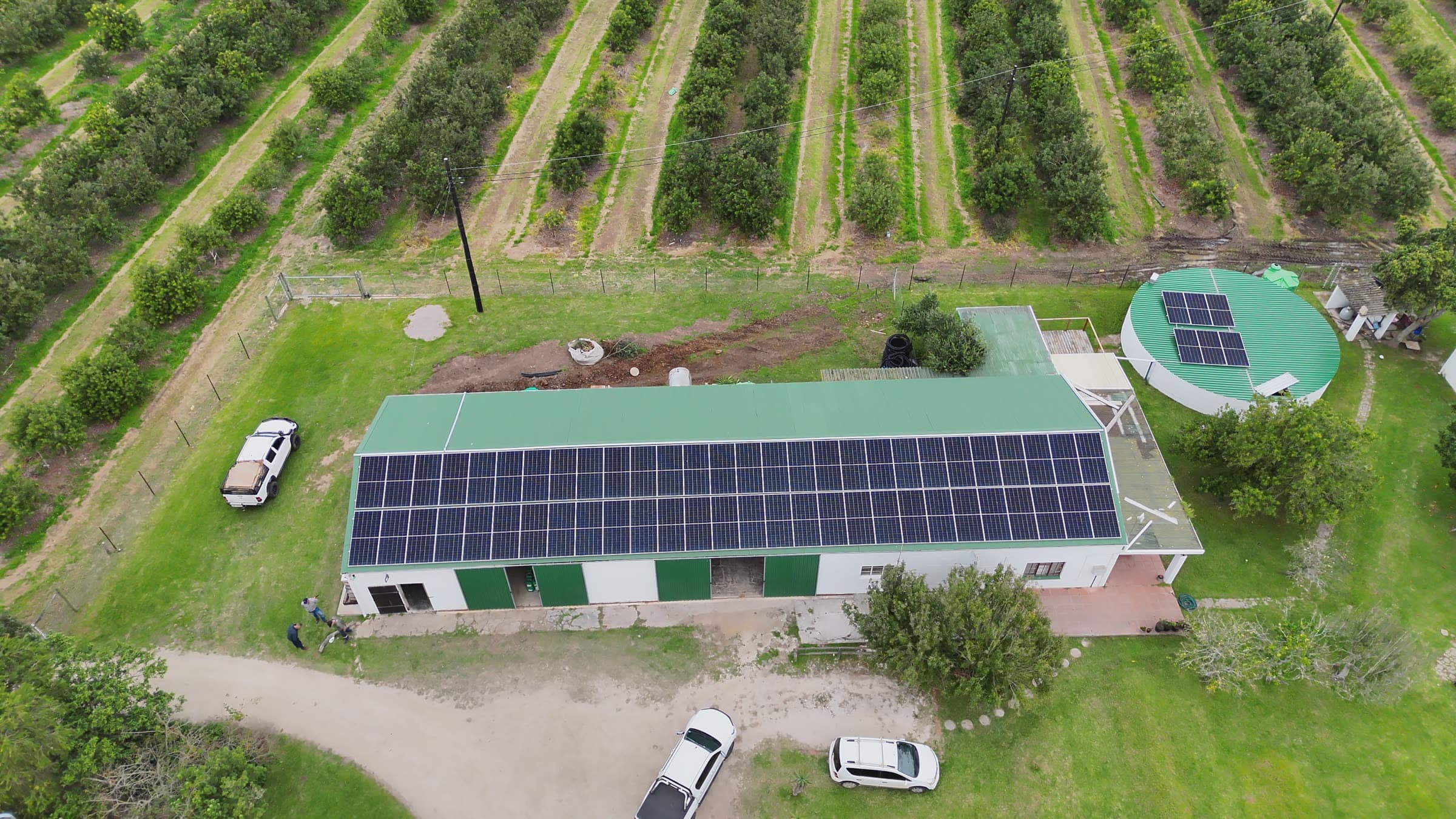 Orchard farm: Packshed roof